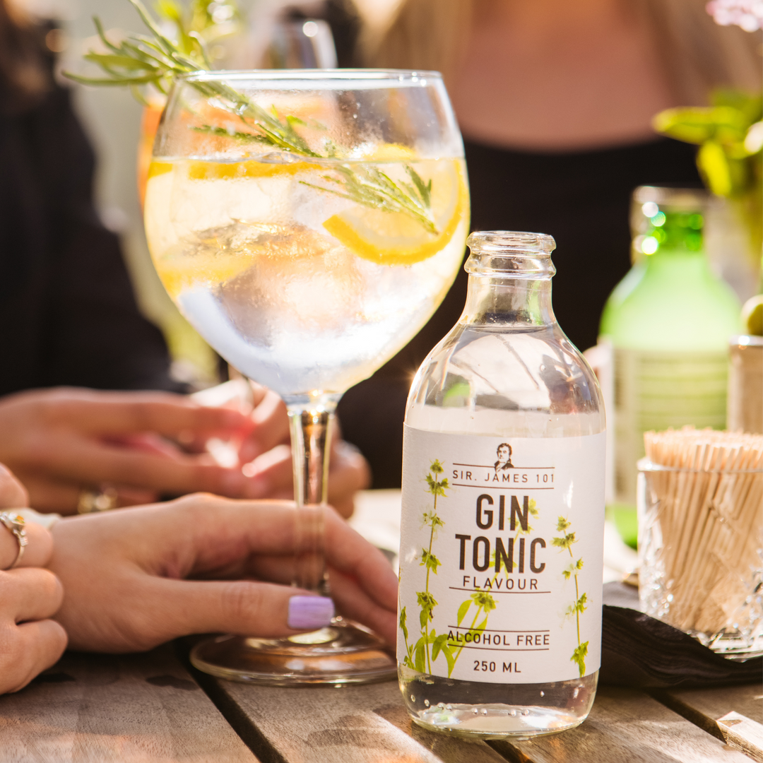 Sir James 101 Gin & Tonic | 4-pack